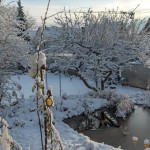 Wintereinbruch - Teich am 26.11.2010